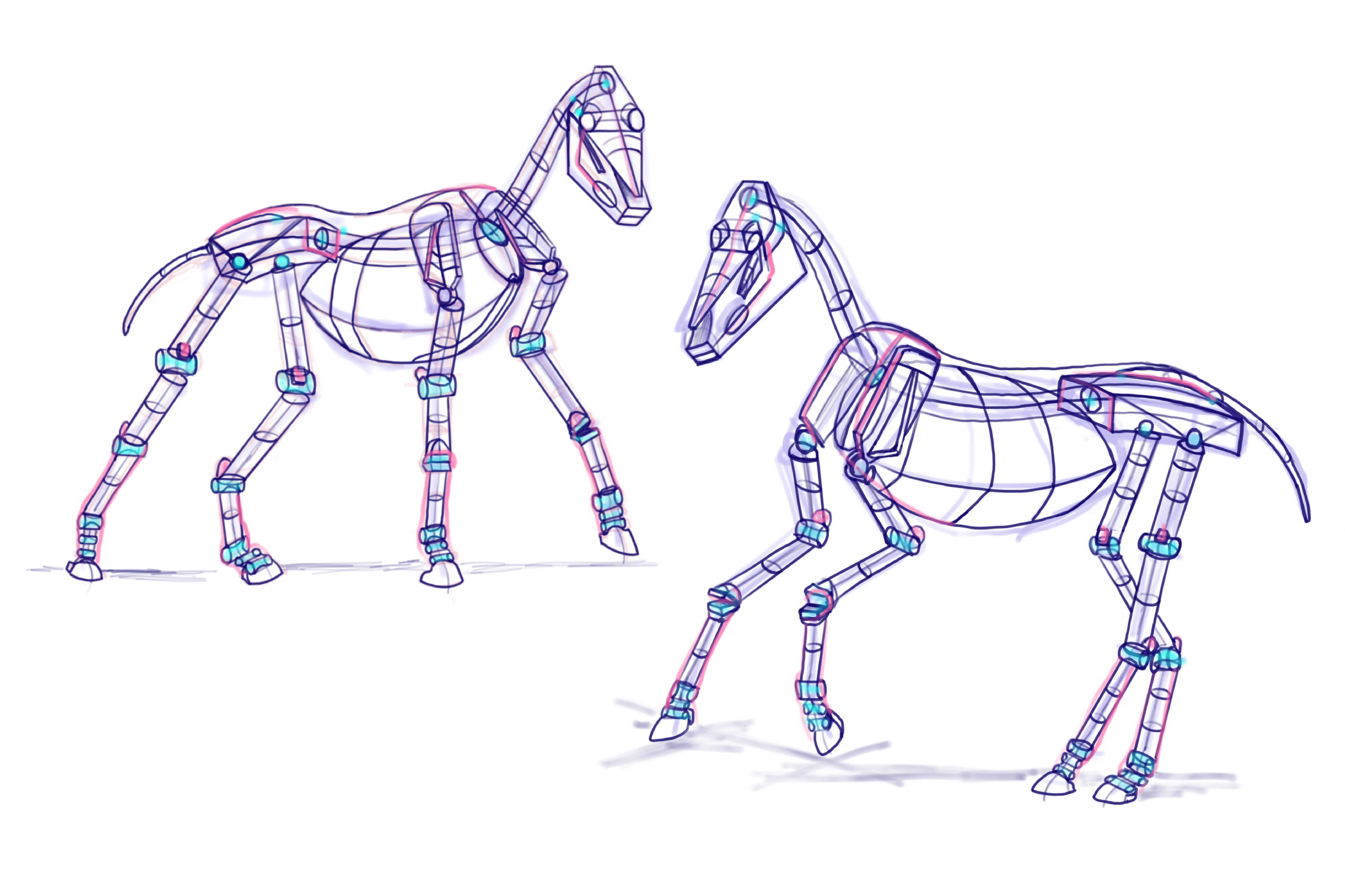 Animal illustration study