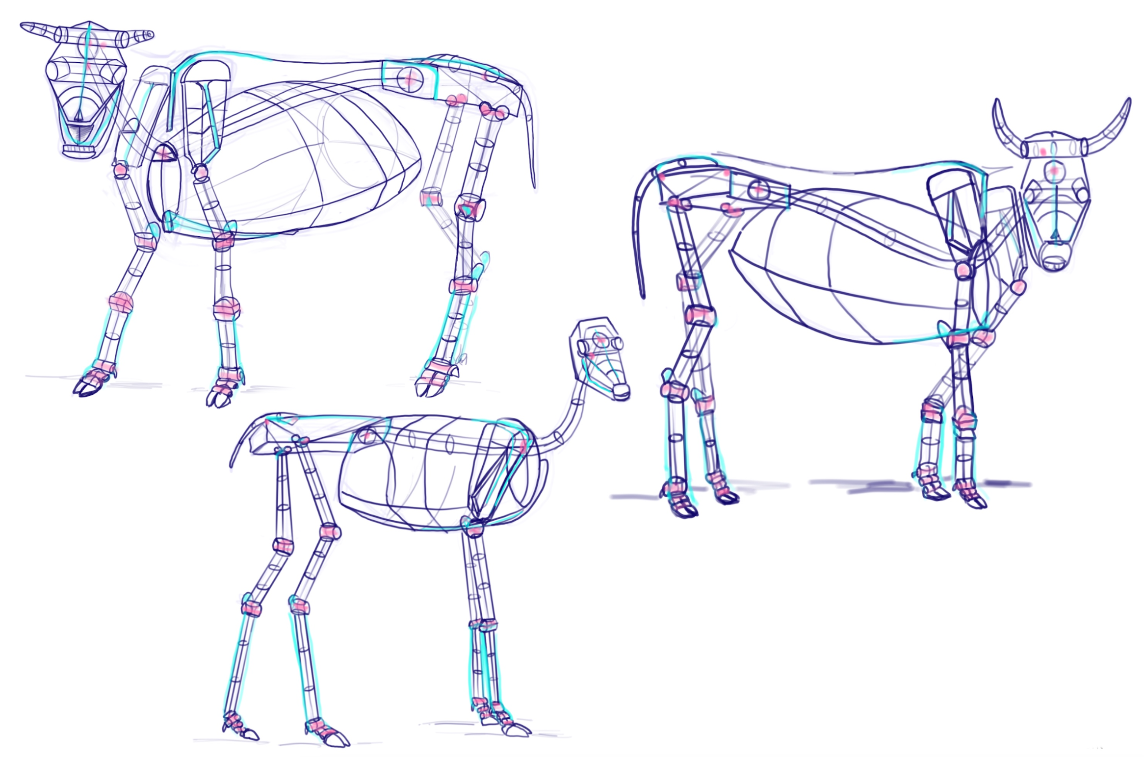 Animal illustration study