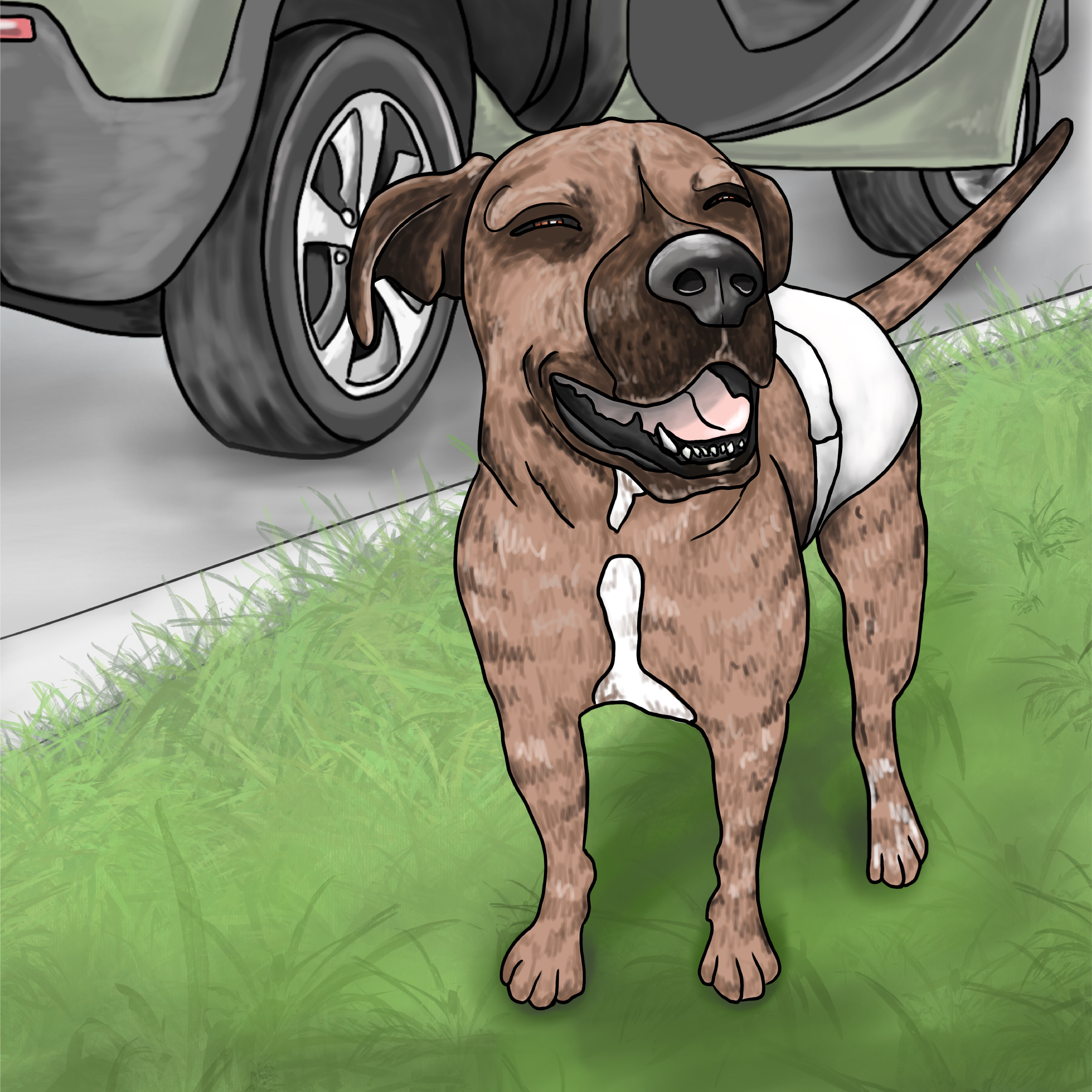 Cricket Goes on Vacation illustration process