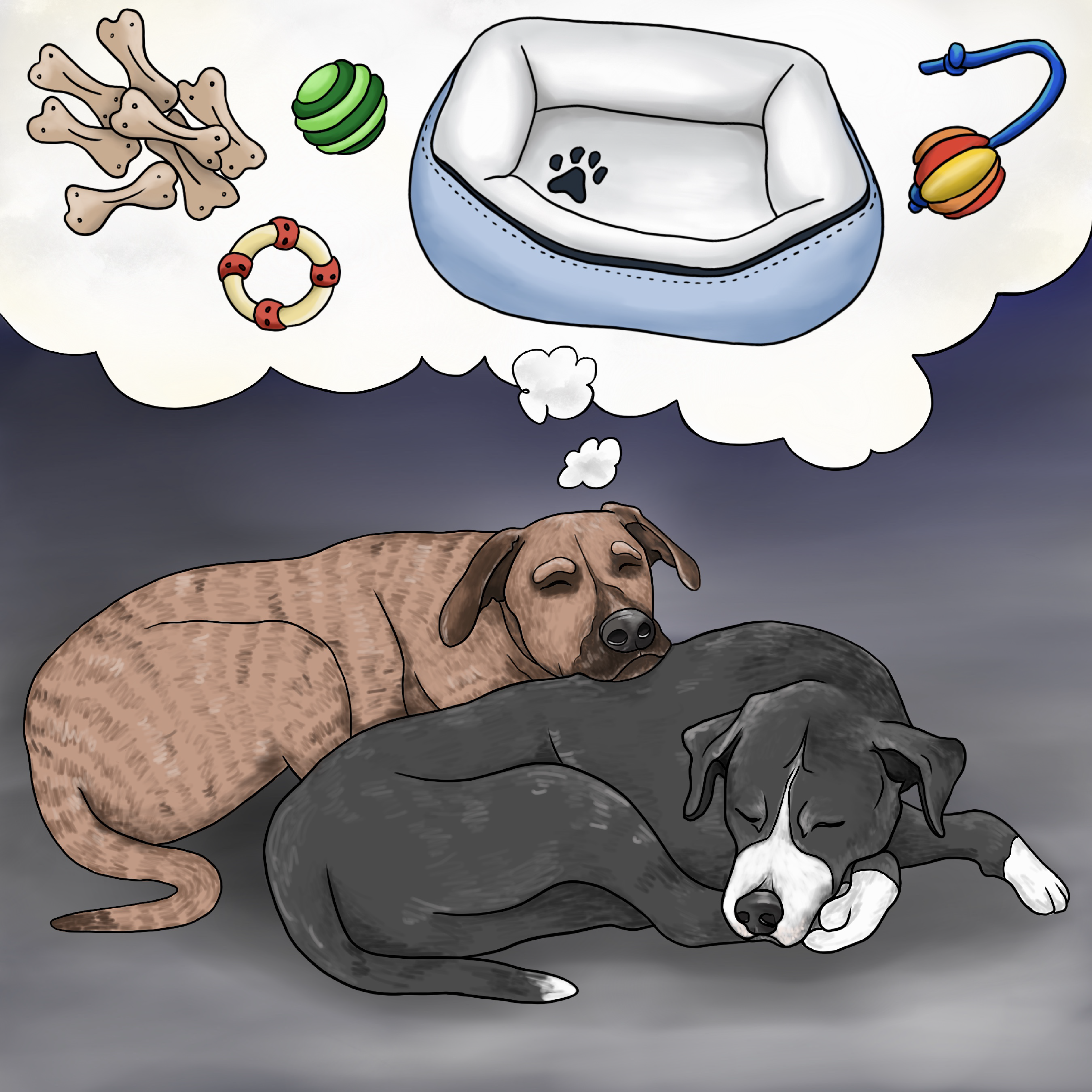 Cricket Goes on Vacation final illustration